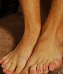 Aristel 5d44327b15199.jpg