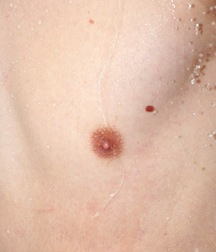 Declan onaniert und ejakuliert boys porn 62483cc21deb7.jpg