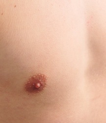 Declan onaniert und ejakuliert boys porn 62483d706449e.jpg
