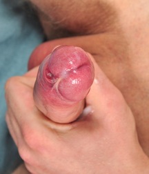 Jack hat Druck und will ficken boys porn 624dea29d2959.jpg
