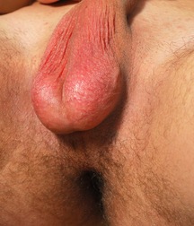 Raylan will ficken und sein Rohr verlegen boys porn 627c040b3467a.jpg