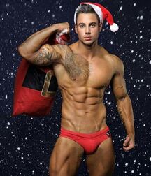 Happy Christmas .. Joyeux Noel 5fc82a66af421.jpg