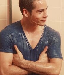 Dylan Celebrity Boy OBrien 604d2365a37d3.jpg