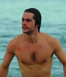 Dylan Celebrity Boy OBrien 604d253bae914.jpg