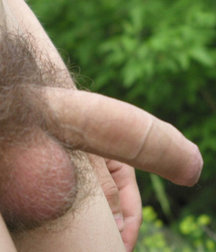 Petr 5cae11d9d0342.jpg