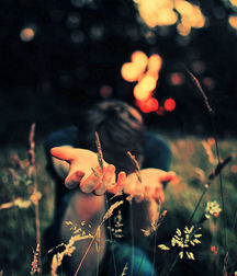 finson's wall-77 5dde7f545a7d2.jpg