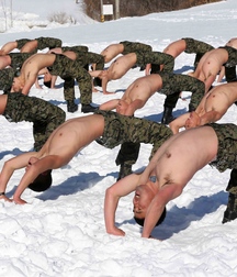 finson's wall-166 gay boys porn 5e7be6d0dc7eb.jpg