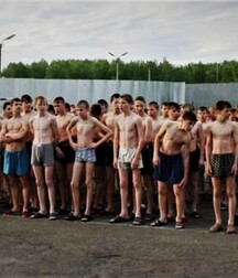 finson's wall- 220 tube gay boys porn twinks 5ec191cbb04cb.jpeg