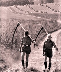 finson's wall best collection picks gay tube boys 282 5fbfe8c2d3b46.jpg