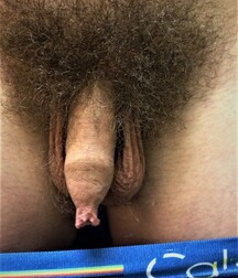 finson's wall best collection twink picks gay tube boys 283 5fc29c6638bd8.jpg