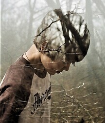 finson's wall best collection porn twink picks gay tube 284 5fc7f58015f65.jpg