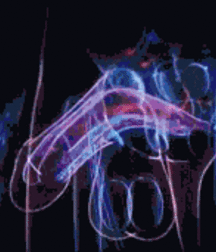 finson's wall best collection porn twink picks gay tube 284 5fc7f66da3ff3.gif