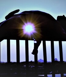 finson's wall best select collection porn twink picks gay tube 285 5fc92a70206fe.jpg