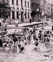 finson's wall best select collection porn twink picks gay tube 285 5fc92ae816521.jpg