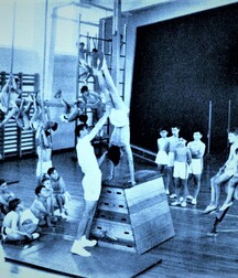 finson's wall best select collection porn twink picks gay tube 285 5fc92aeaddf5d.jpg