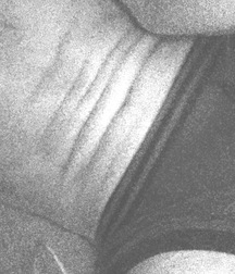 Pictures of me. 5c9071c486142.jpeg