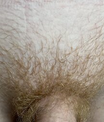 19yo Social Media Star Evan Wade 69 gay porn tube boys 6244a123be47f.jpeg