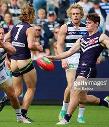 aussie rules footballers 5c85a662039f5.jpg