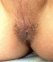 Jouy 1 5d3dedf3a0a40.jpg