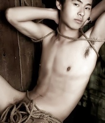 Hot Asian 01 5d4204566d8d6.jpg