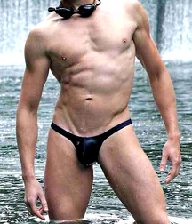 Speedo 5ddef25c4c768.png