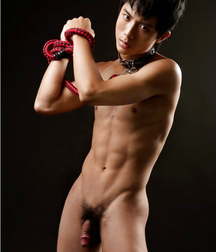 Just Asians 005 5de3008e09f94.jpg