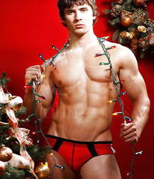 Just Christmas 03 5dfe792e6d851.jpg