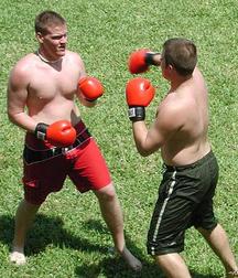 Just Boys Porn Gay 1071 5e4c6f9d7718e.jpg