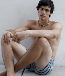 Just Boys Holiday Gay Tube 1619 5ec9b22aa2263.jpg
