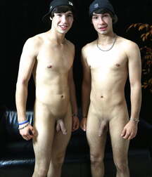 Just Boys Gift Gay Porn Inspired 1650 5eceee997057f.jpg