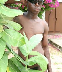 Romuald black boys porn 5efbc242f10b4.jpg