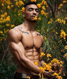 Crated Bodies Just Boys Porn 3210 5fb81e9e3a091.jpg
