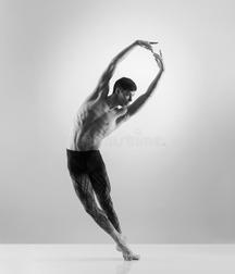 Male Ballet Dancers 5c91e8063e017.jpg