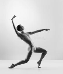 Male Ballet Dancers 5c91e807410df.jpg
