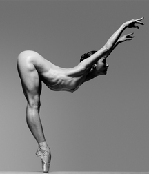 Male Ballet Dancers 5c91e8133c06a.jpg