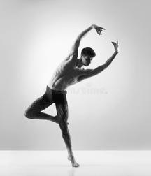 Male Ballet Dancers 5c91e81be5419.jpg
