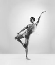 Male Ballet Dancers 5c91e81e1a4fe.jpg