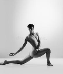Male Ballet Dancers 5c91e822c0786.jpg