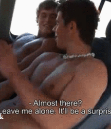 Car Sex (Gif) 5cbe23bdd1fb1.gif
