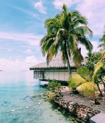 Tropical Selection 5c9370b5995cf.jpg