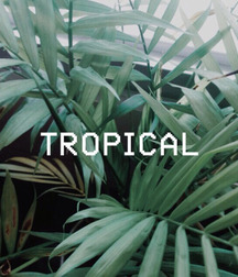 Tropical Selection 5c9370c0ca170.jpg