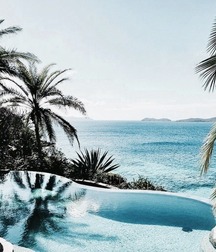 Tropical Selection 5c9370d1a270c.jpg