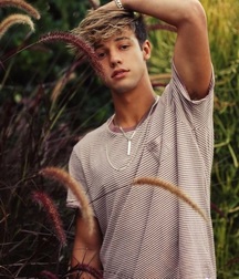 Twinks 5dc71c69518a8.jpg