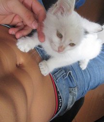 Shirtless Jeans 5df64a558d857.jpg