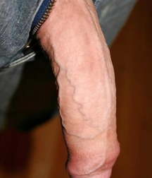 Guys in Jeans with the Dicks out 5df675449bcc1.jpg
