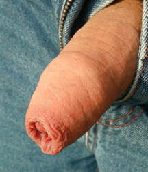 Guys in Jeans with the Dicks out 5df675480f43d.jpg