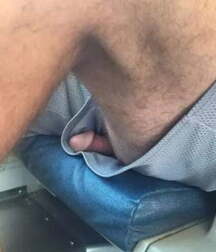 Dick slips from the internet 5f15d64edfff7.jpg