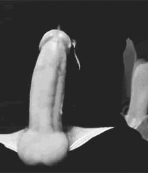 Jerking and Cumshots 3 5e401ea783ed9.gif