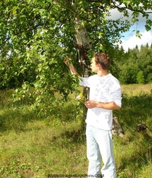 Alex 5cccc97974b1e.jpg