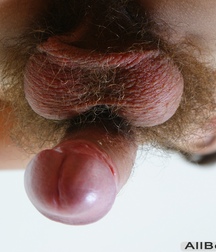 Kane the Boy Wonder Part 8 5ccce6f0aad77.jpg